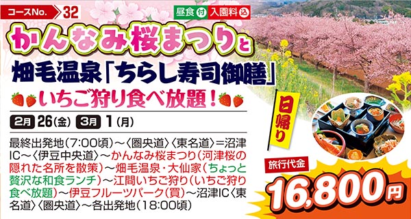 かんなみ桜まつりと畑毛温泉「ちらし寿司御膳」いちご狩り食べ放題！（日帰り）