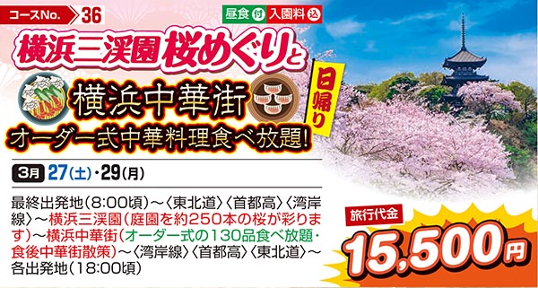 横浜三渓園桜めぐりと横浜中華街オーダー式中華料理食べ放題！（日帰り）
