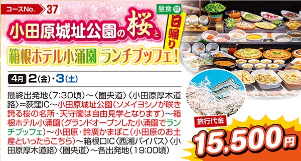 小田原城址公園の桜と箱根ホテル小涌園 ランチブッフェ！（日帰り）