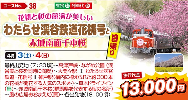 花桃と桜の競演が美しいわたらせ渓谷鉄道花桃号と赤城南面千本桜（日帰り）
