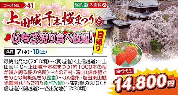 上田城千本桜まつりといちご狩り食べ放題！（日帰り）