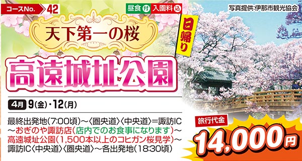 天下第一の桜　高遠城址公園（日帰り）