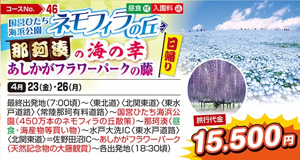国営ひたち海浜公園ネモフィラの丘と那珂湊の海の幸　あしかがフラワーパークの藤（日帰り）