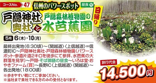 信州のパワースポット　戸隠神社奥社と戸隠森林植物園の水芭蕉園（日帰り）