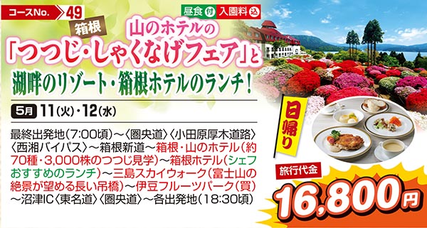 箱根　山のホテルの「つつじ・しゃくなげフェア」と湖畔のリゾート・箱根ホテルのランチ！（日帰り）