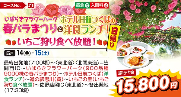 いばらきフラワーパーク春バラまつりとホテル日航つくばの洋食ランチ！いちご狩り食べ放題！（日帰り）