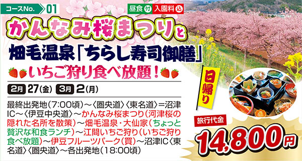 かんなみ桜まつりと畑毛温泉「ちらし寿司御膳」 いちご狩り食べ放題！（日帰り）