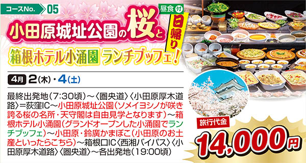 小田原城址公園の桜と箱根ホテル小涌園 ランチブッフェ！（日帰り）