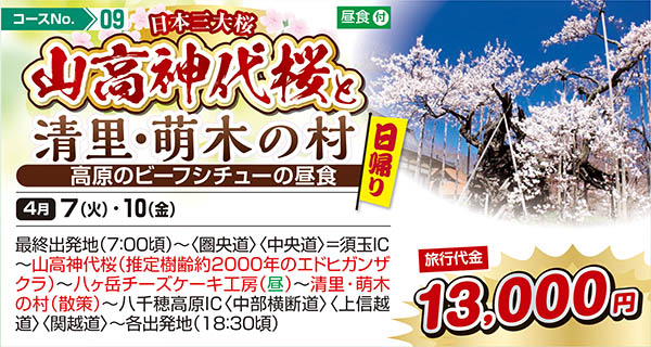 日本三大桜 山高神代桜と清里・萌木の村 高原のビーフシチューの昼食（日帰り）