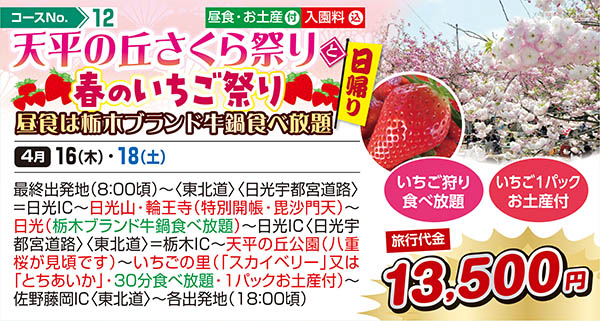 天平の丘さくら祭りと春のいちご祭り 昼食は栃木ブランド牛鍋食べ放題（日帰り）