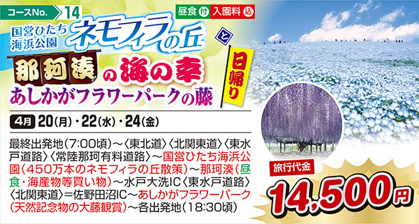 国営ひたち海浜公園 ネモフィラの丘と那珂湊の海の幸 あしかがフラワーパークの藤（日帰り）