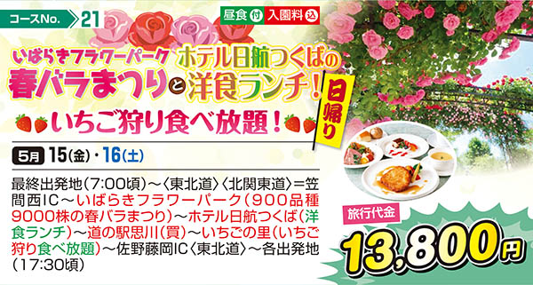 いばらきフラワーパーク 春バラまつりとホテル日航つくばの洋食ランチ！いちご狩り食べ放題！（日帰り）