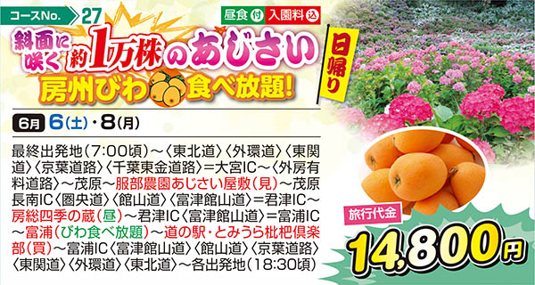 斜面に咲く約1万株のあじさい 房州びわ食べ放題!（日帰り）