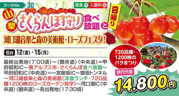 山梨さくらんぼ狩り食べ放題と河口湖音楽と森の美術館・ローズフェスタ！（日帰り）