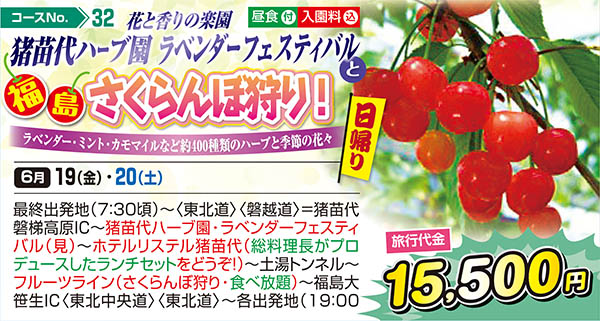 花と香りの楽園 猪苗代ハーブ園 ラベンダーフェスティバルと福島さくらんぼ狩り! ラベンダー・ミント・カモマイルなど約400種類のハーブと季節の花々（日帰り）