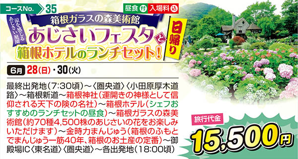 箱根ガラスの森美術館 涼を感じるあじさい庭園 あじさいフェスタと箱根ホテルのランチセット！（日帰り）