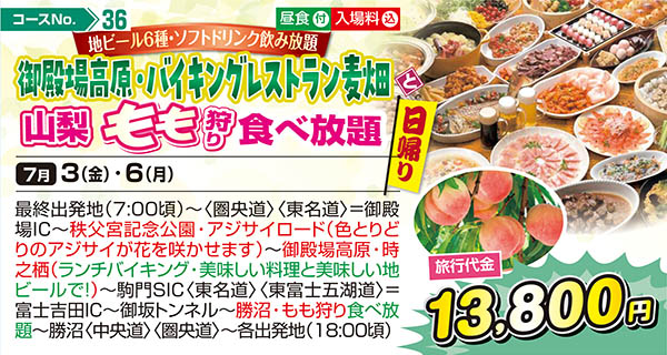 地ビール6種・ソフトドリンク飲み放題 御殿場高原・バイキングレストラン麦畑と山梨もも狩り食べ放題（日帰り）