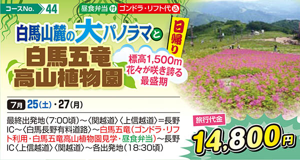 白馬山麓の大パノラマと白馬五竜高山植物園 標高1,500m 花々が咲き誇る最盛期（日帰り）