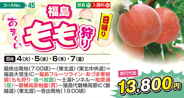 福島あま〜いもも狩り（日帰り）