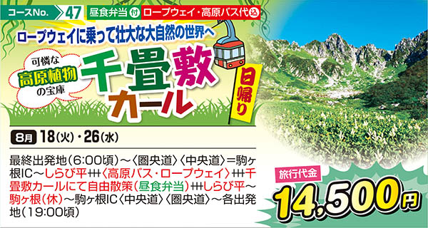 ロープウェイに乗って壮大な大自然の世界へ 可憐な高原植物の宝庫 千畳敷カール（日帰り）