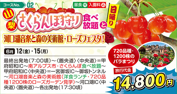 山梨さくらんぼ狩り食べ放題と河口湖音楽と森の美術館・ローズフェスタ！（日帰り）