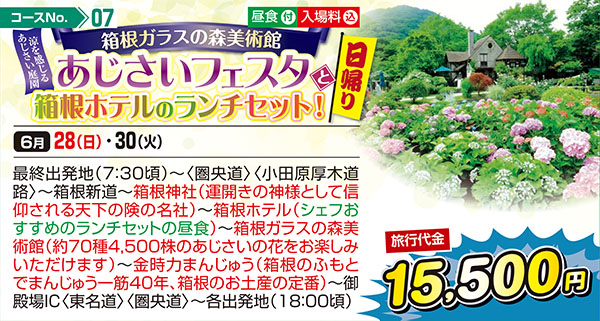 箱根ガラスの森美術館 涼を感じるあじさい庭園 あじさいフェスタと箱根ホテルのランチセット！（日帰り）