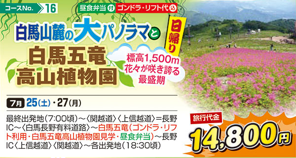 白馬山麓の大パノラマと白馬五竜高山植物園 標高1,500m 花々が咲き誇る最盛期（日帰り）