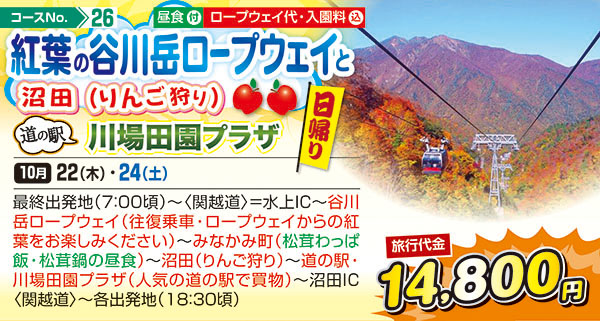 紅葉の谷川岳ロープウェイと沼田（りんご狩り）道の駅川場田園プラザ（日帰り）