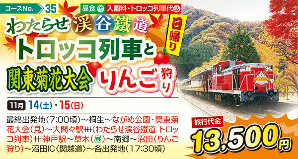 わたらせ渓谷鐵道トロッコ列車と関東菊花大会りんご狩り（日帰り）