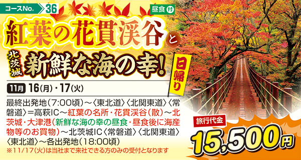 紅葉の花貫渓谷と北茨城新鮮な海に幸！（日帰り）