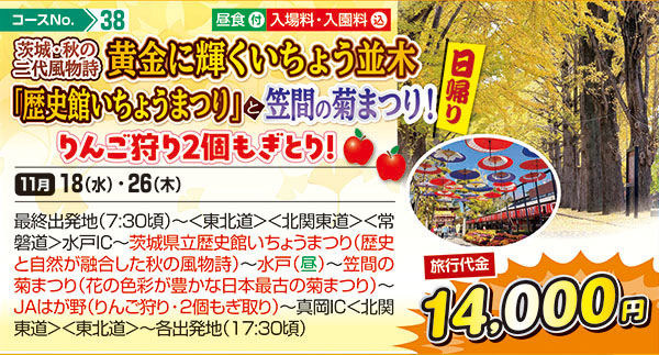 茨城・秋の二代風物詩黄金に輝くいちょう並木「歴史館いちょうまつり」と笠間の菊まつり！りんご狩り2個もぎとり！（日帰り）