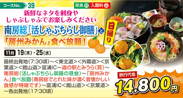 新鮮なネタを刺身やしゃぶしゃぶでお楽しみください南房総「活しゃぶちらし御膳」と「房州みかん」食べ放題！（日帰り）