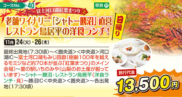 老舗ワイナリー「シャトー勝沼」直営レストラン鳥居平の洋食ランチ！（日帰り）