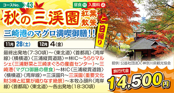 秋の三渓園紅葉散策と三崎港のマグロ満喫御膳！！（日帰り）